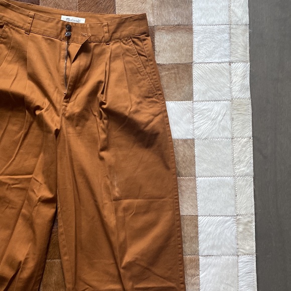 Madewell Wide-leg Pleated Pants, Burnt Sienna - Picture 7 of 7